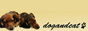 Sample Banner